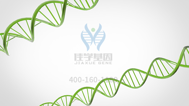 【佳学基因-基因检测】p53治疗方案策略简述